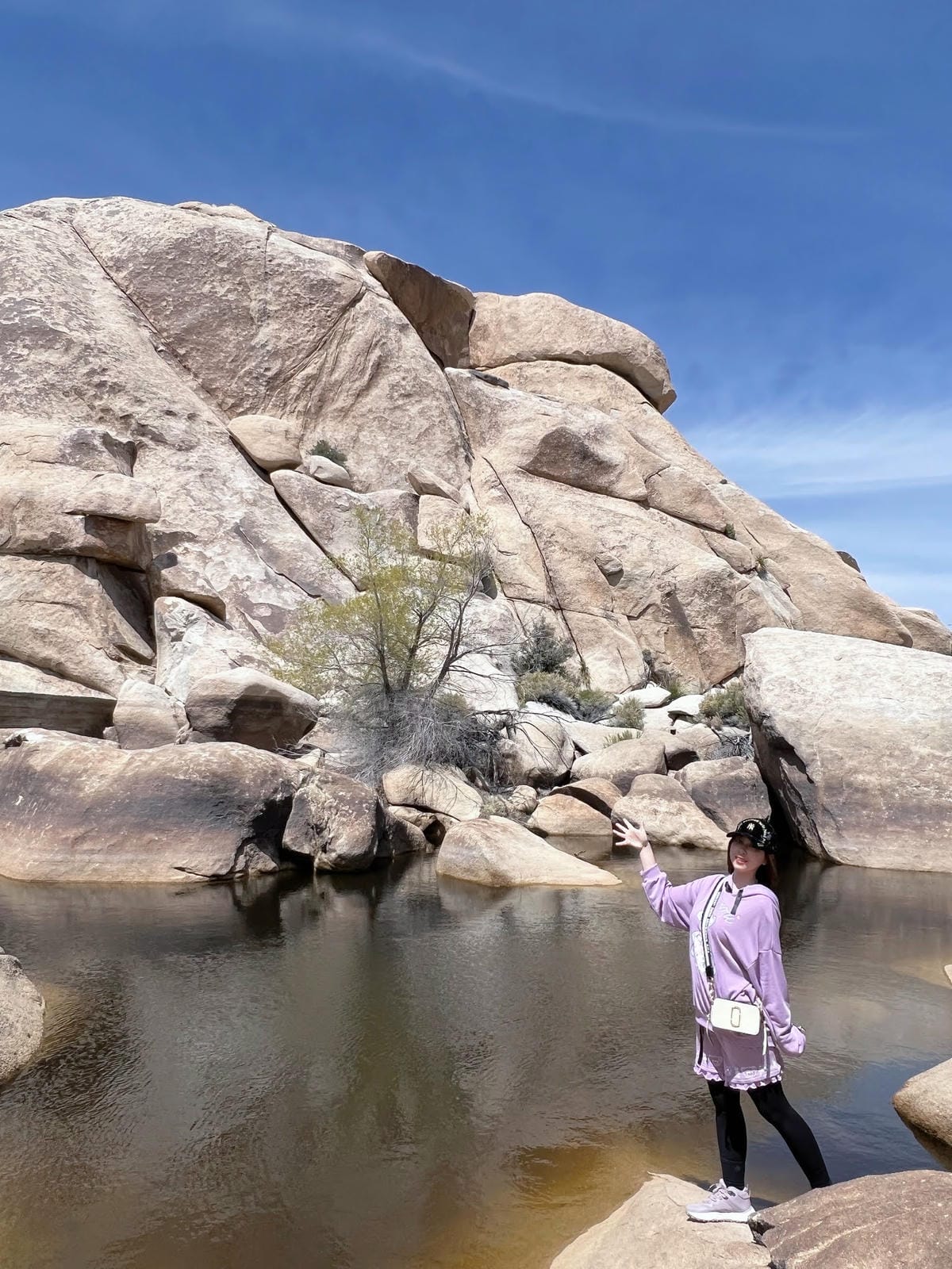 【美國-California】南加州美國國家公園│約書亞樹國 【美國-California】南加州美國國家公園│約書亞樹國