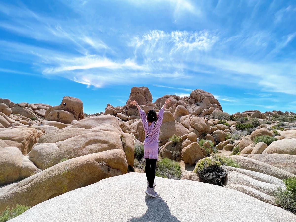【美國-California】南加州美國國家公園│約書亞樹國 【美國-California】南加州美國國家公園│約書亞樹國
