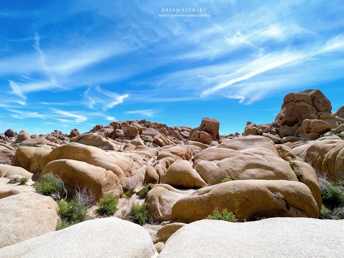 【美國-California】南加州美國國家公園│約書亞樹國 【美國-California】南加州美國國家公園│約書亞樹國