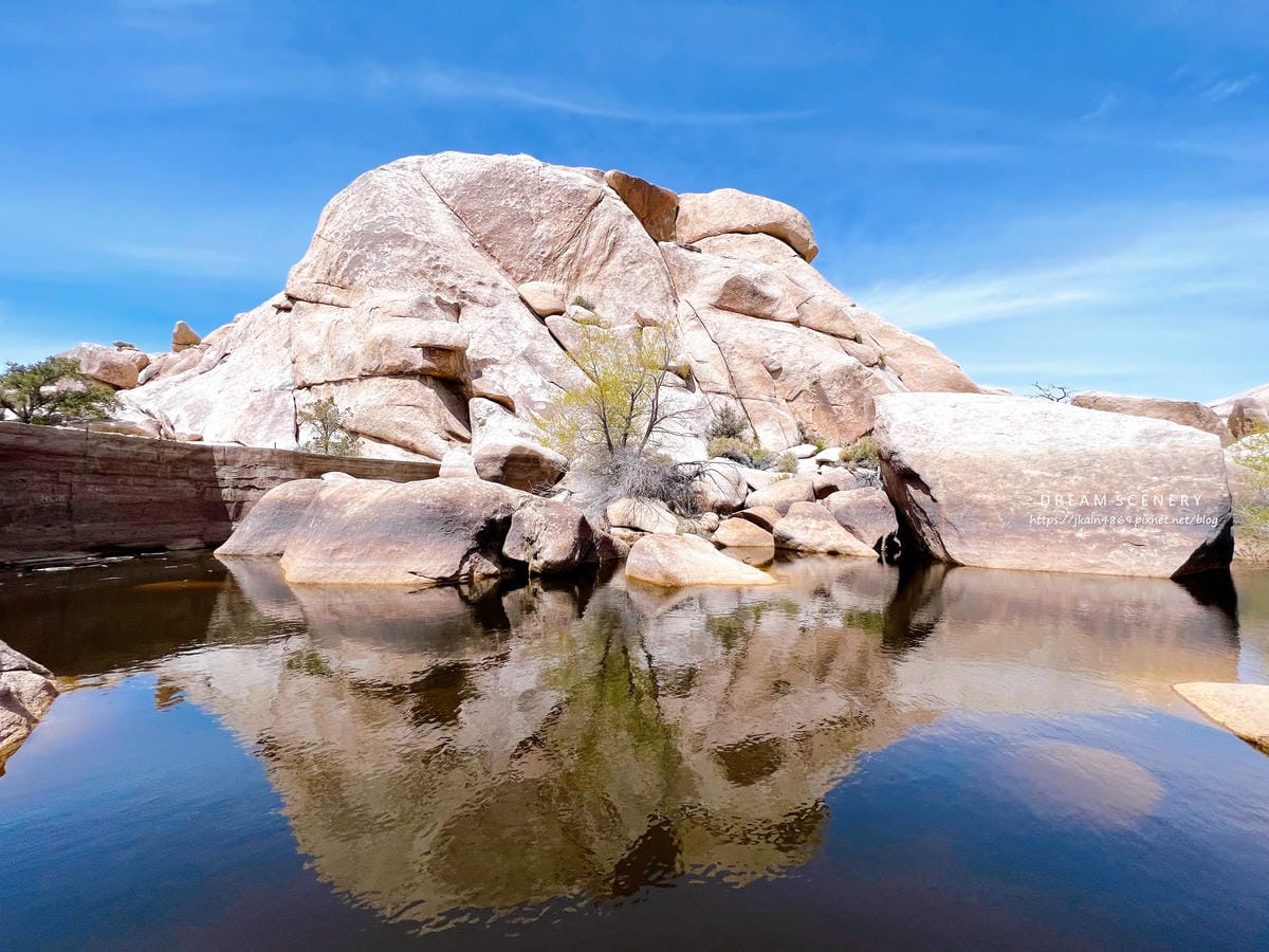 【美國-California】南加州美國國家公園│約書亞樹國 【美國-California】南加州美國國家公園│約書亞樹國