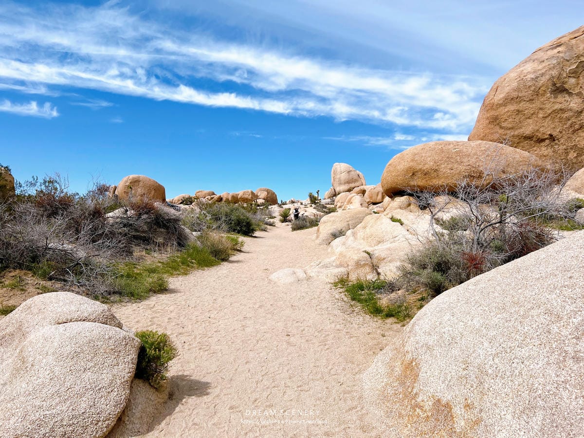 【美國-California】南加州美國國家公園│約書亞樹國 【美國-California】南加州美國國家公園│約書亞樹國