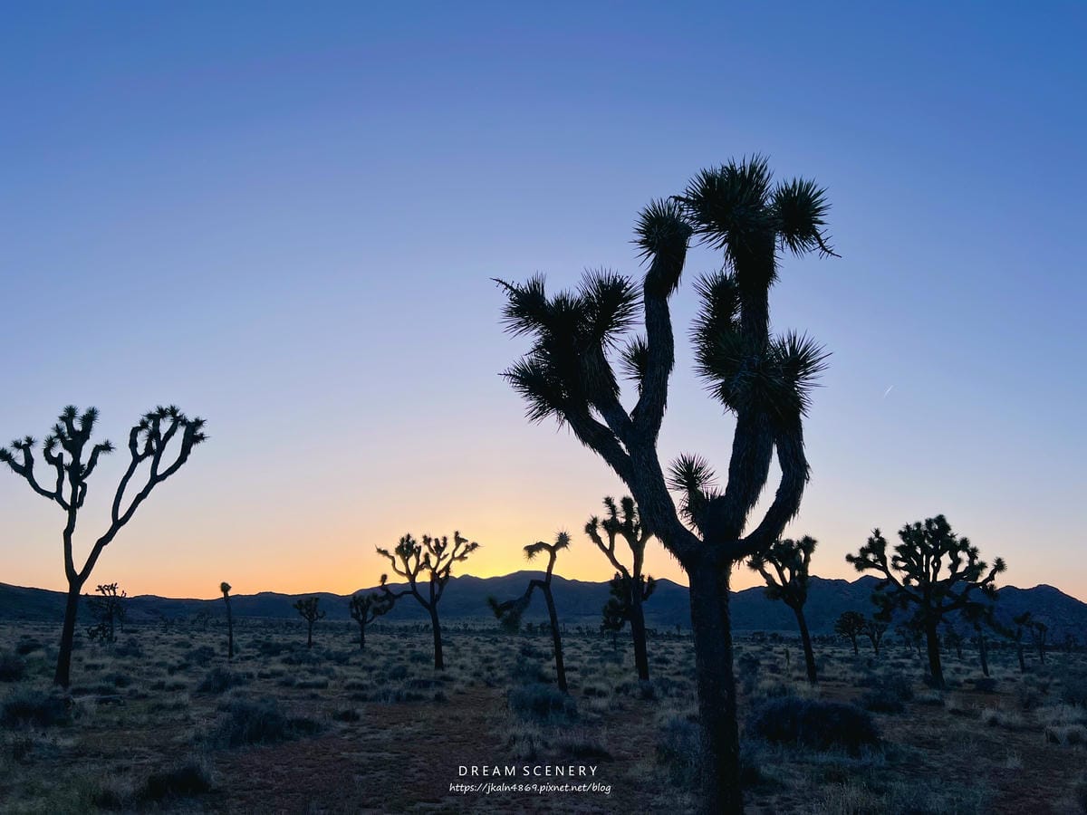 【美國-California】南加州美國國家公園│約書亞樹國 【美國-California】南加州美國國家公園│約書亞樹國