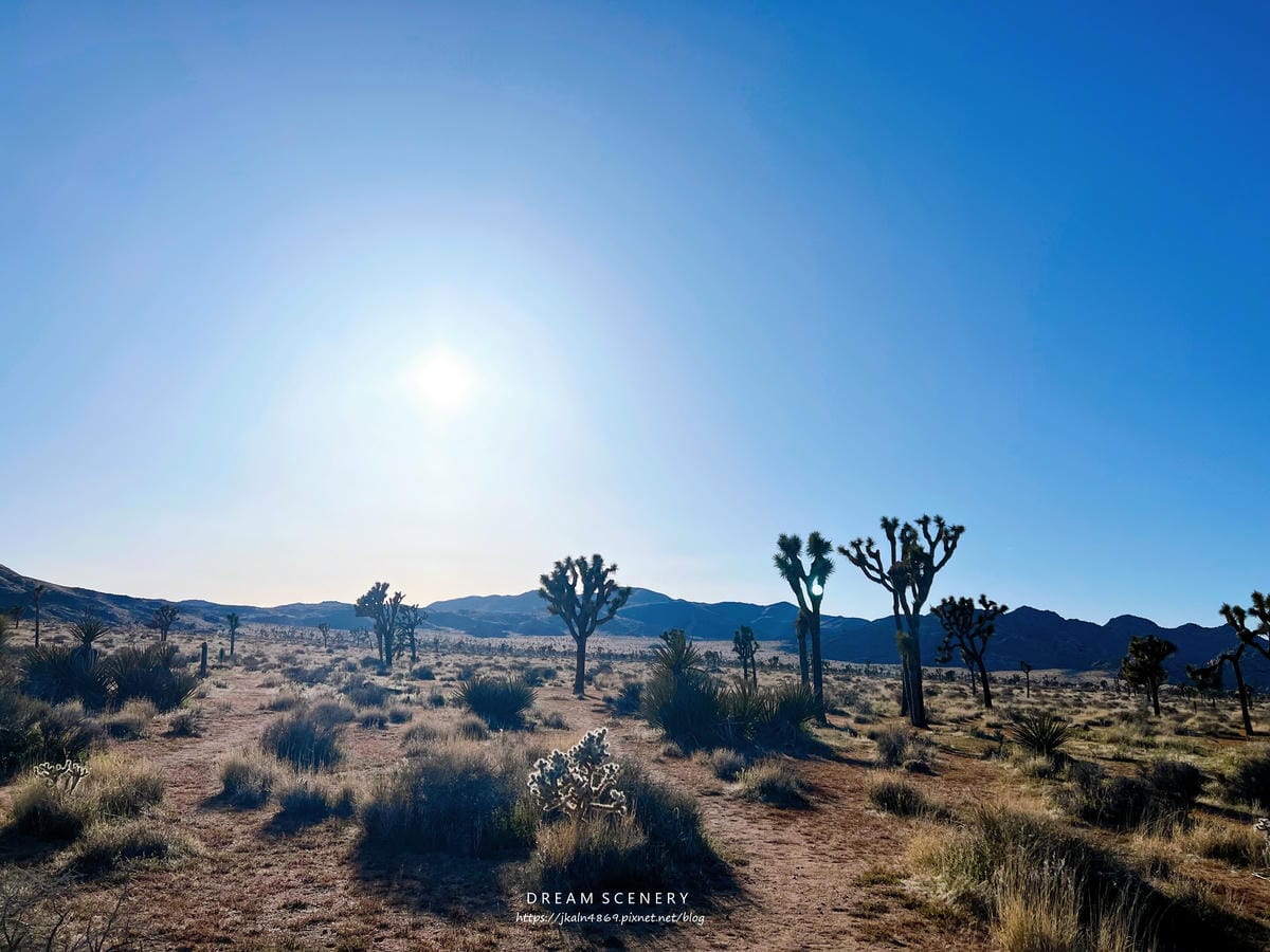 【美國-California】南加州美國國家公園│約書亞樹國 【美國-California】南加州美國國家公園│約書亞樹國