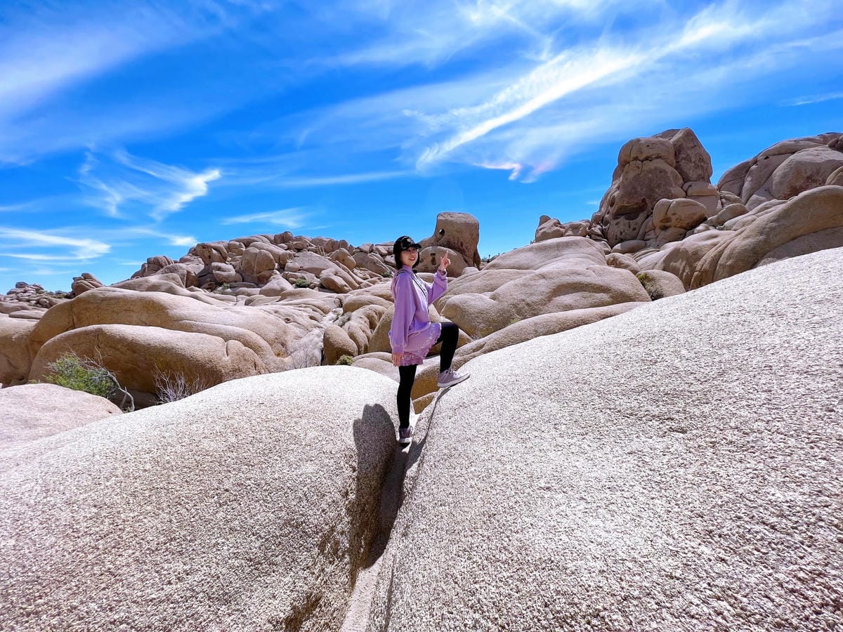 【美國-California】南加州美國國家公園│約書亞樹國 【美國-California】南加州美國國家公園│約書亞樹國