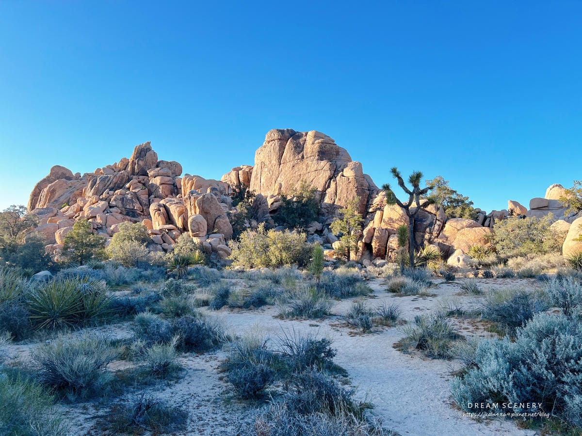 【美國-California】南加州美國國家公園│約書亞樹國 【美國-California】南加州美國國家公園│約書亞樹國