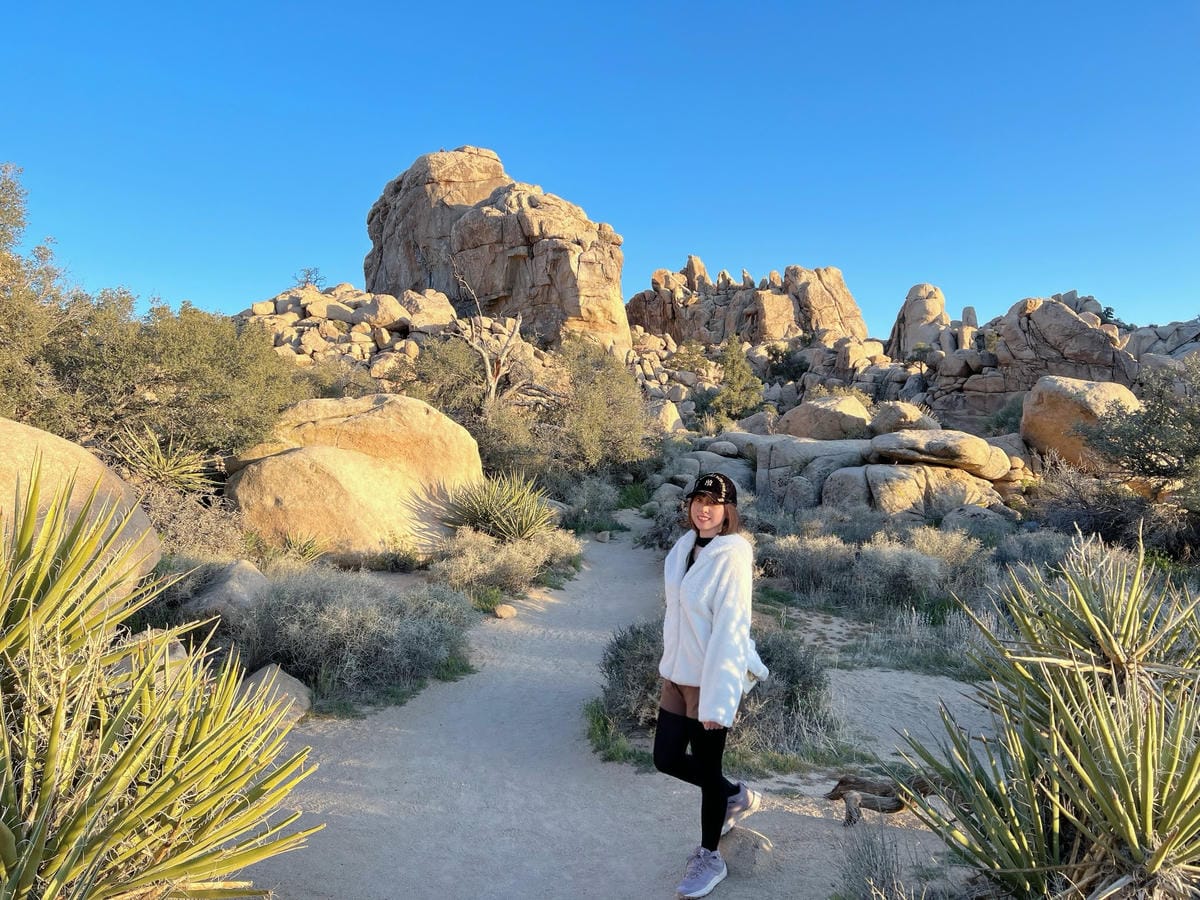 【美國-California】南加州美國國家公園│約書亞樹國 【美國-California】南加州美國國家公園│約書亞樹國