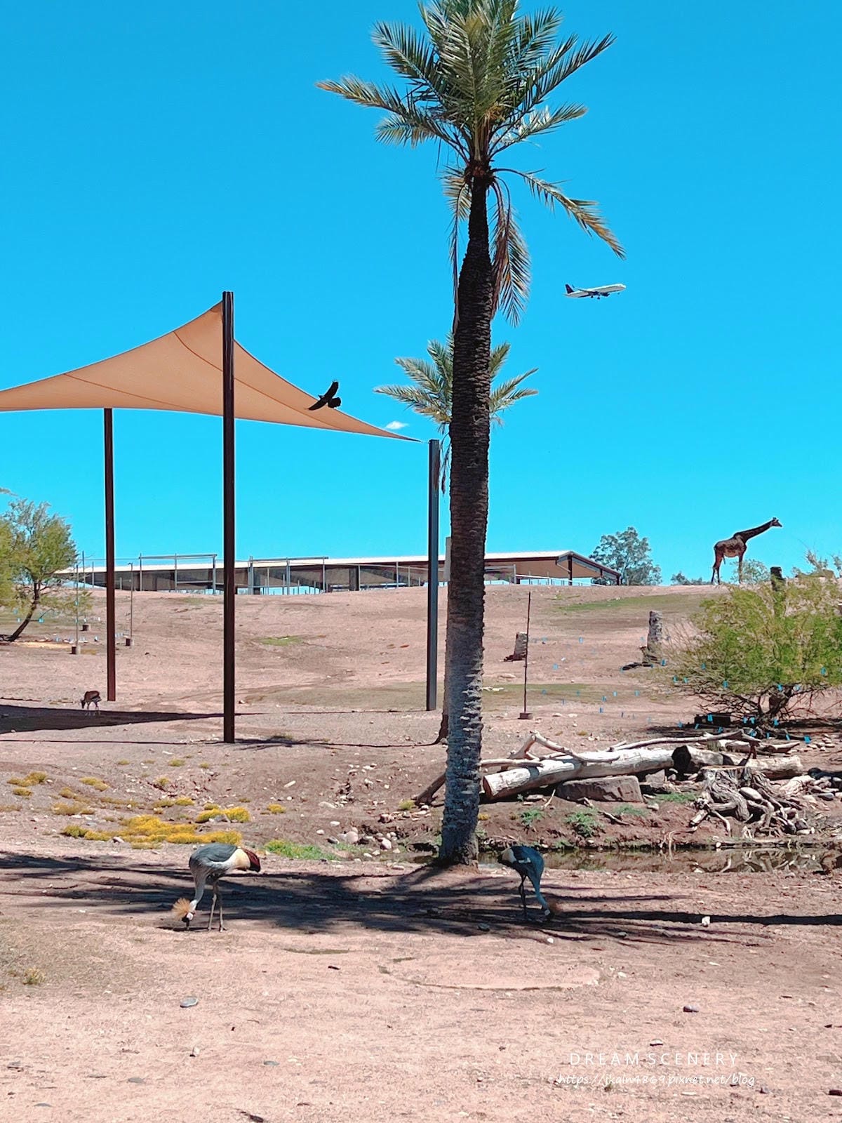 【美國-Arizona】城市級動物園│鳳凰城動物園│Phoe