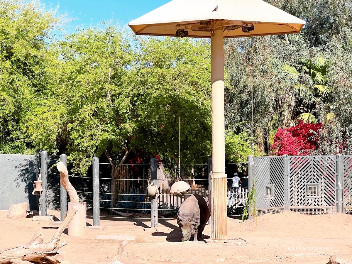 【美國-Arizona】城市級動物園│鳳凰城動物園│Phoe