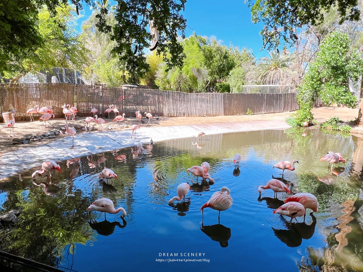 【美國-Arizona】城市級動物園│鳳凰城動物園│Phoe
