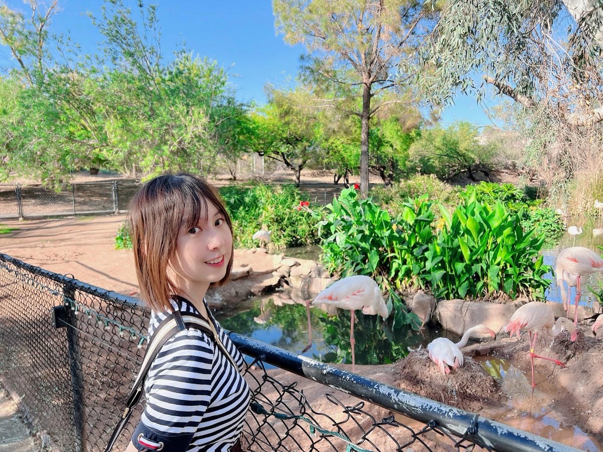 【美國-Arizona】城市級動物園│鳳凰城動物園│Phoe