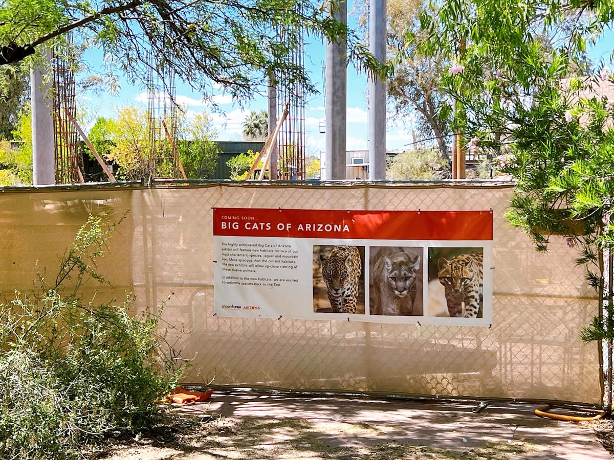 【美國-Arizona】城市級動物園│鳳凰城動物園│Phoe