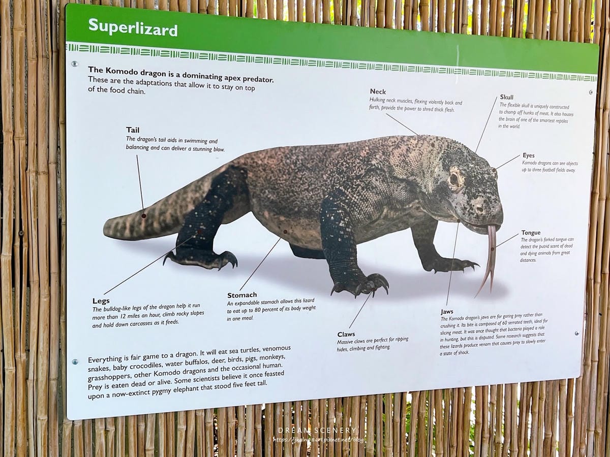 【美國-Arizona】城市級動物園│鳳凰城動物園│Phoe