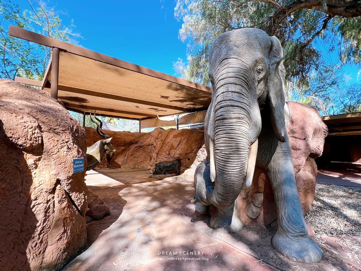 【美國-Arizona】城市級動物園│鳳凰城動物園│Phoe