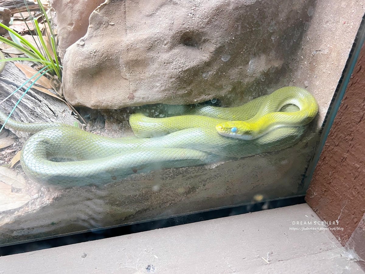 【美國-Arizona】城市級動物園│鳳凰城動物園│Phoe