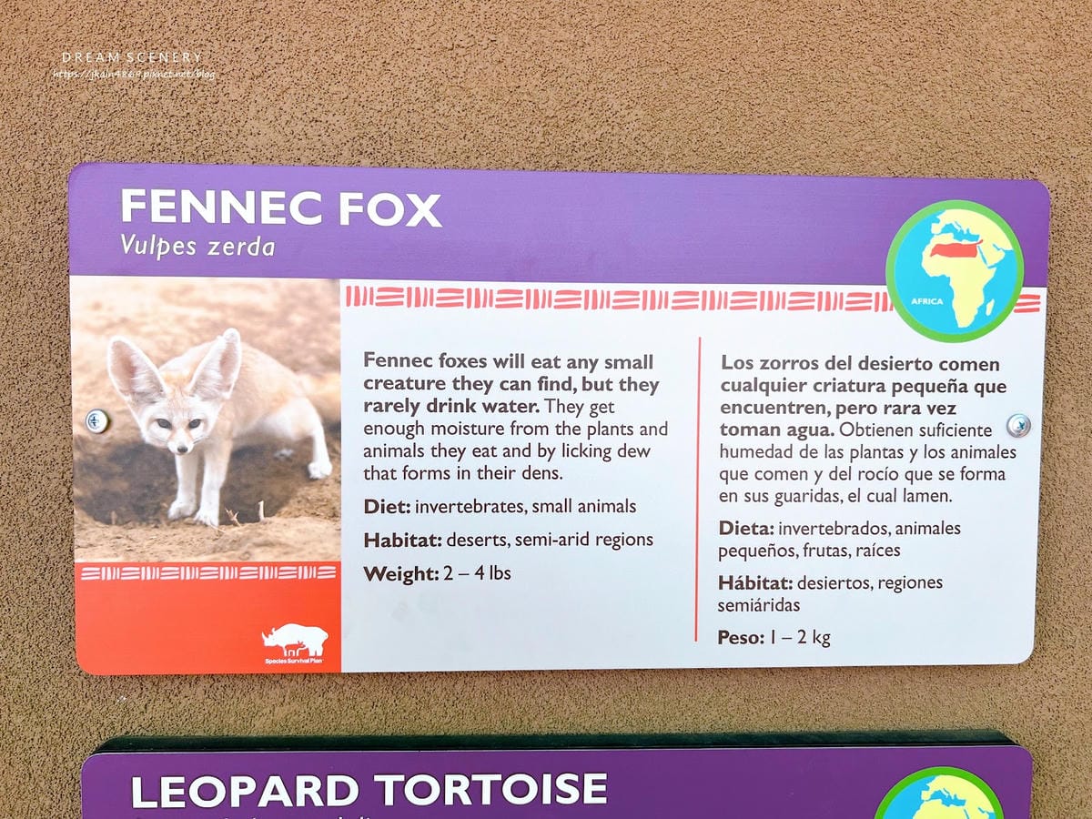【美國-Arizona】城市級動物園│鳳凰城動物園│Phoe
