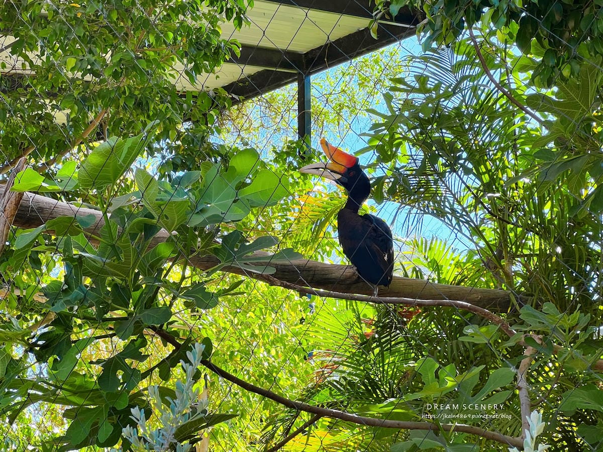 【美國-Arizona】城市級動物園│鳳凰城動物園│Phoe