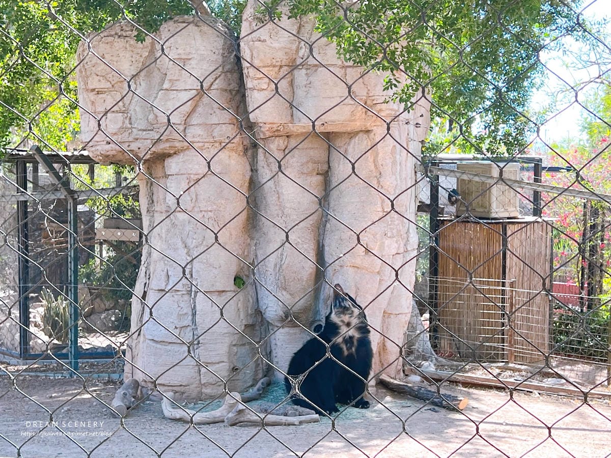 【美國-Arizona】城市級動物園│鳳凰城動物園│Phoe