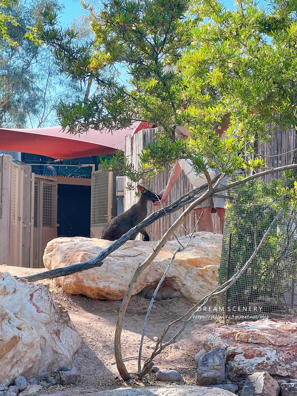 【美國-Arizona】城市級動物園│鳳凰城動物園│Phoe