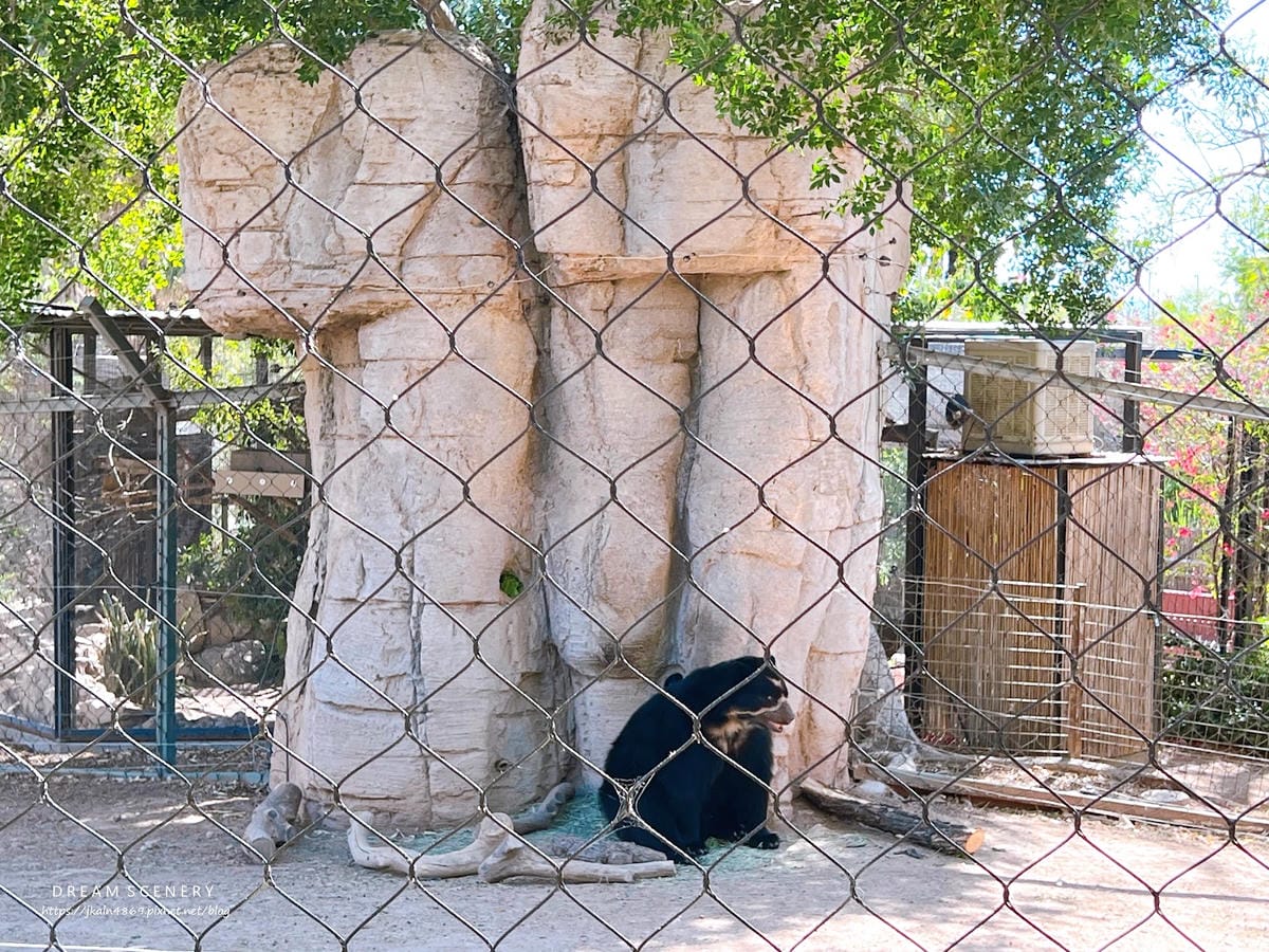 【美國-Arizona】城市級動物園│鳳凰城動物園│Phoe