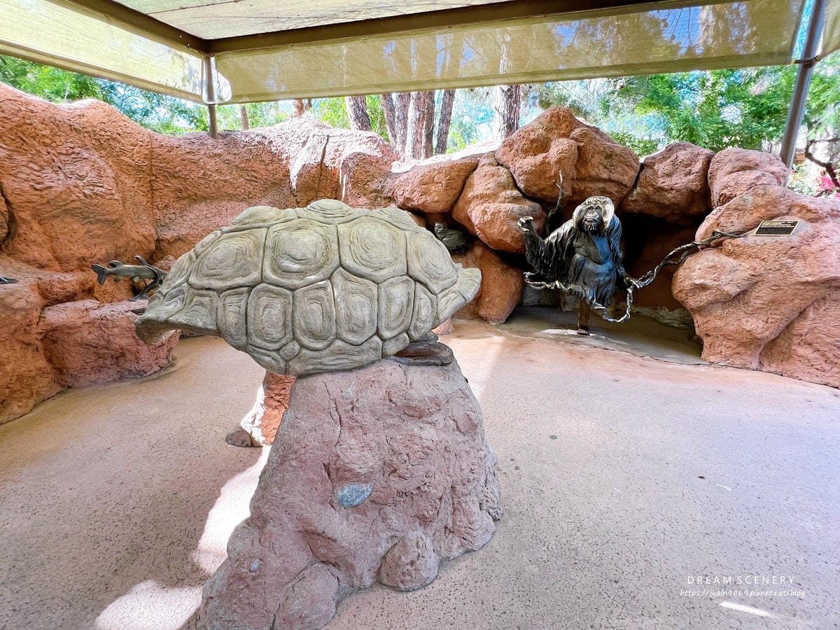 【美國-Arizona】城市級動物園│鳳凰城動物園│Phoe