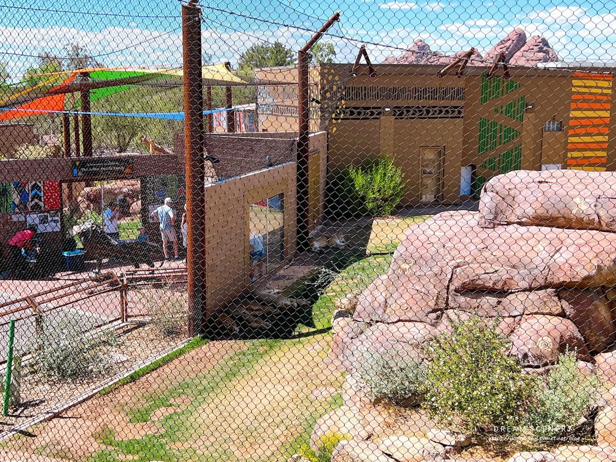 【美國-Arizona】城市級動物園│鳳凰城動物園│Phoe