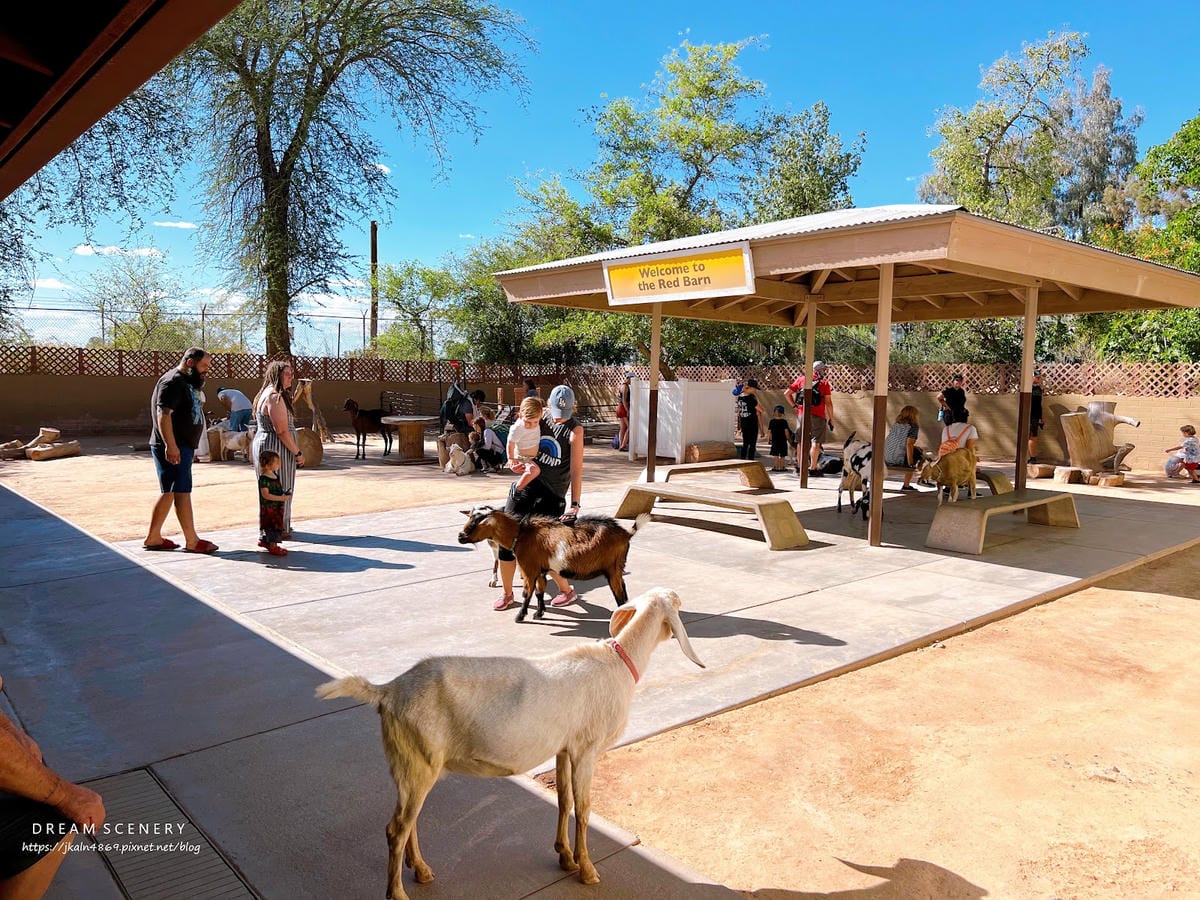 【美國-Arizona】城市級動物園│鳳凰城動物園│Phoe