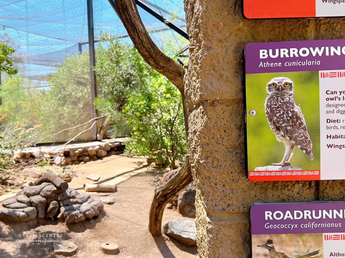 【美國-Arizona】城市級動物園│鳳凰城動物園│Phoe
