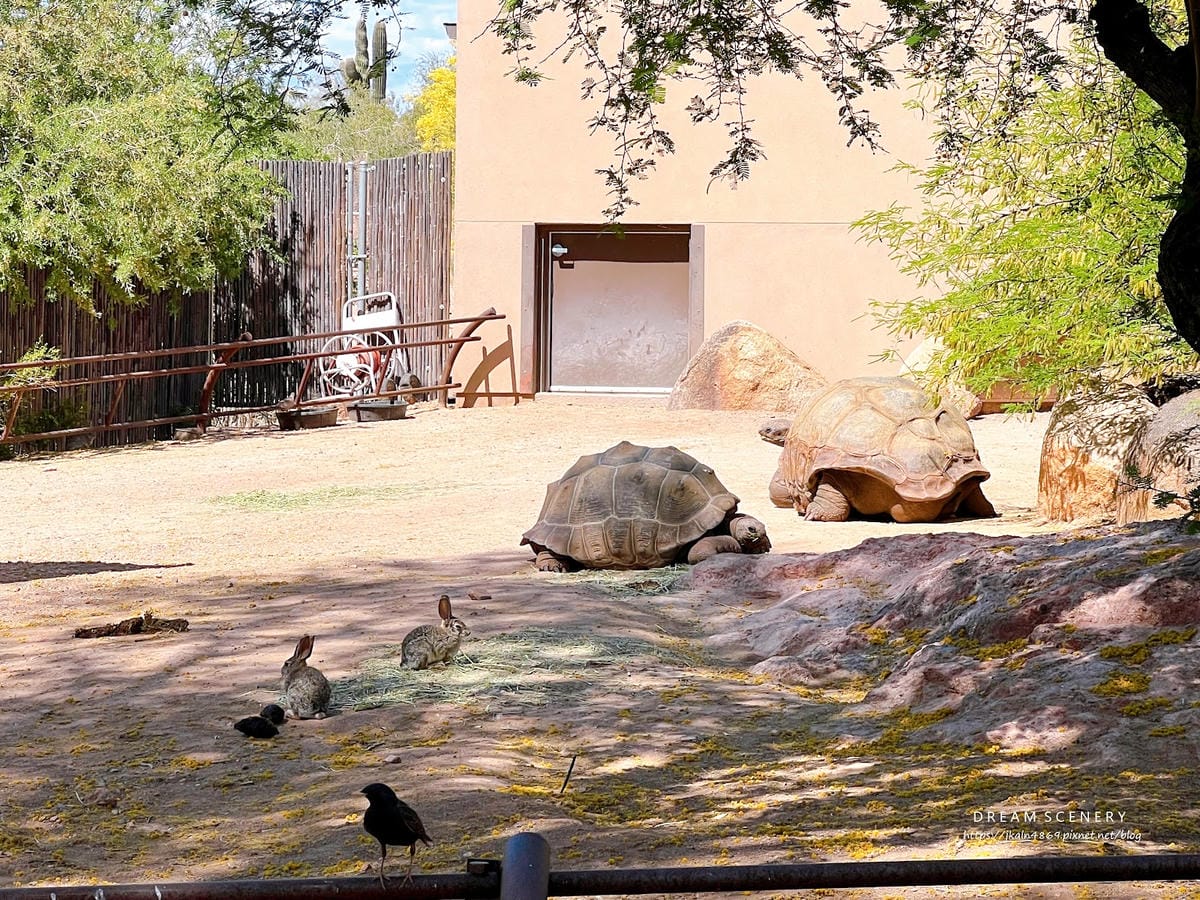【美國-Arizona】城市級動物園│鳳凰城動物園│Phoe