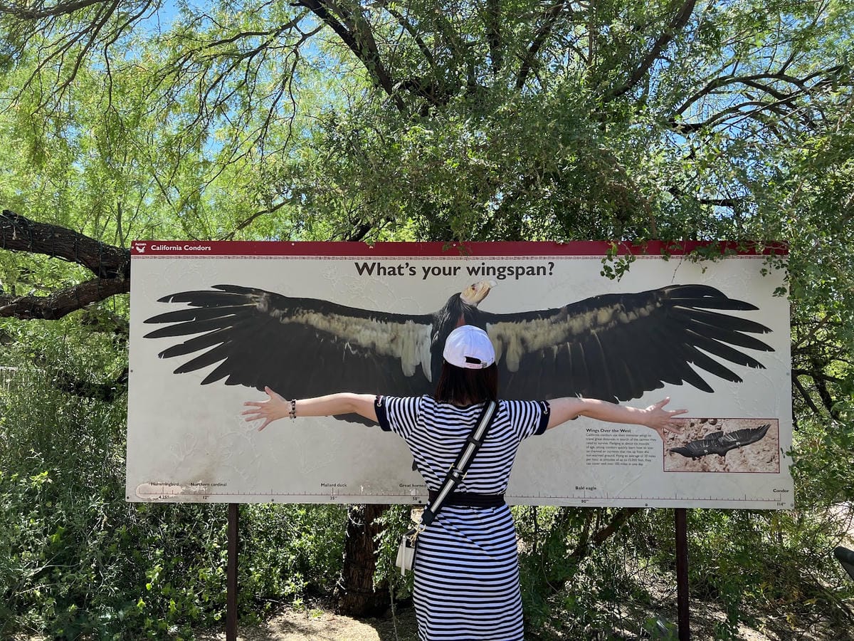 【美國-Arizona】城市級動物園│鳳凰城動物園│Phoe