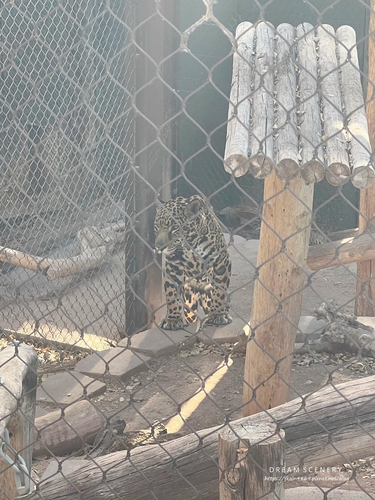 【美國-Arizona】城市級動物園│鳳凰城動物園│Phoe