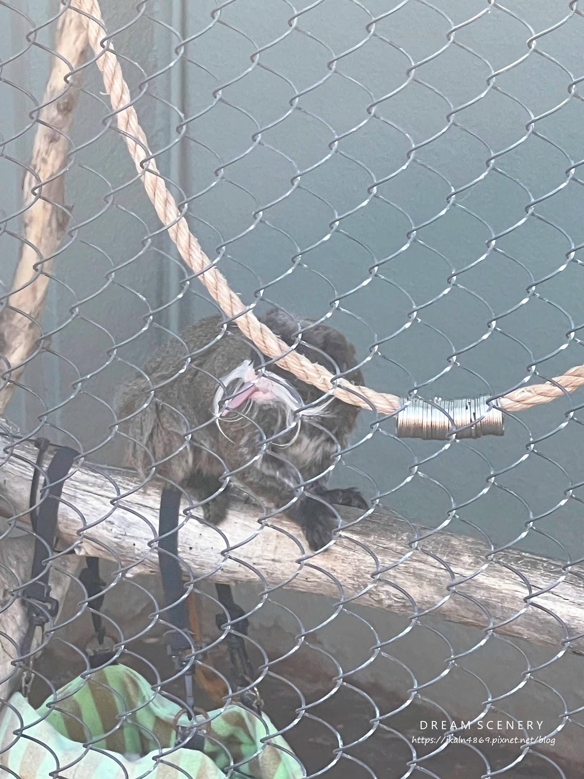 【美國-Arizona】城市級動物園│鳳凰城動物園│Phoe