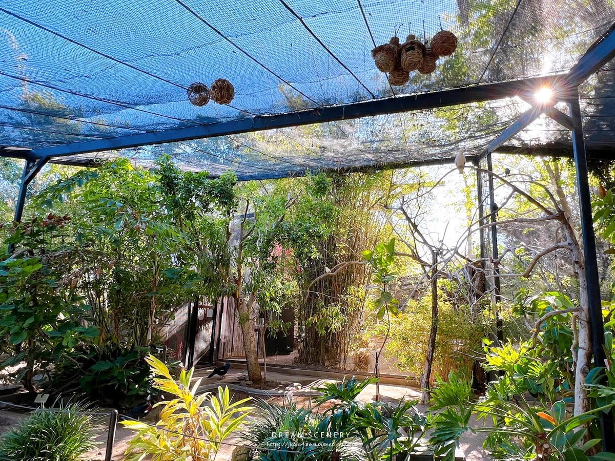【美國-Arizona】城市級動物園│鳳凰城動物園│Phoe