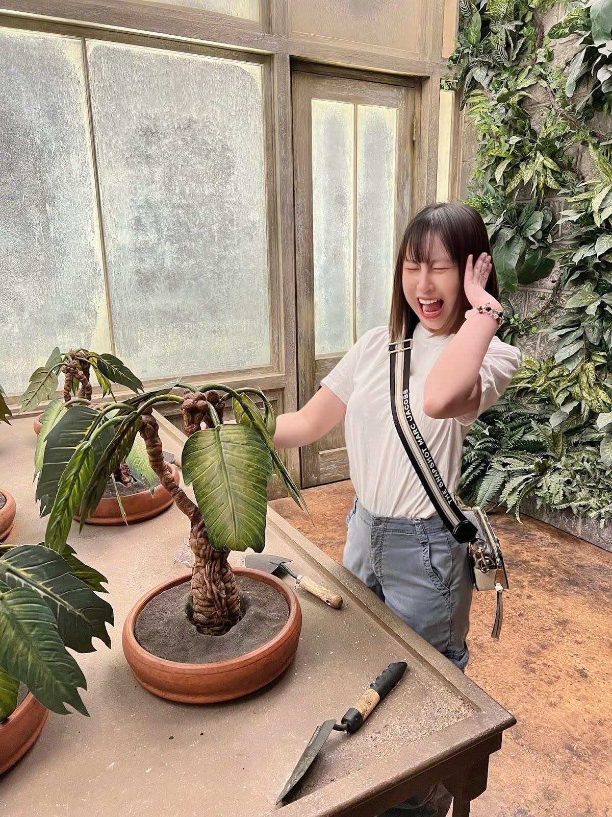 【美國-Los Angeles】洛杉磯好萊塢華納兄弟工作室│ 【美國-Los Angeles】洛杉磯好萊塢華納兄弟工作室│