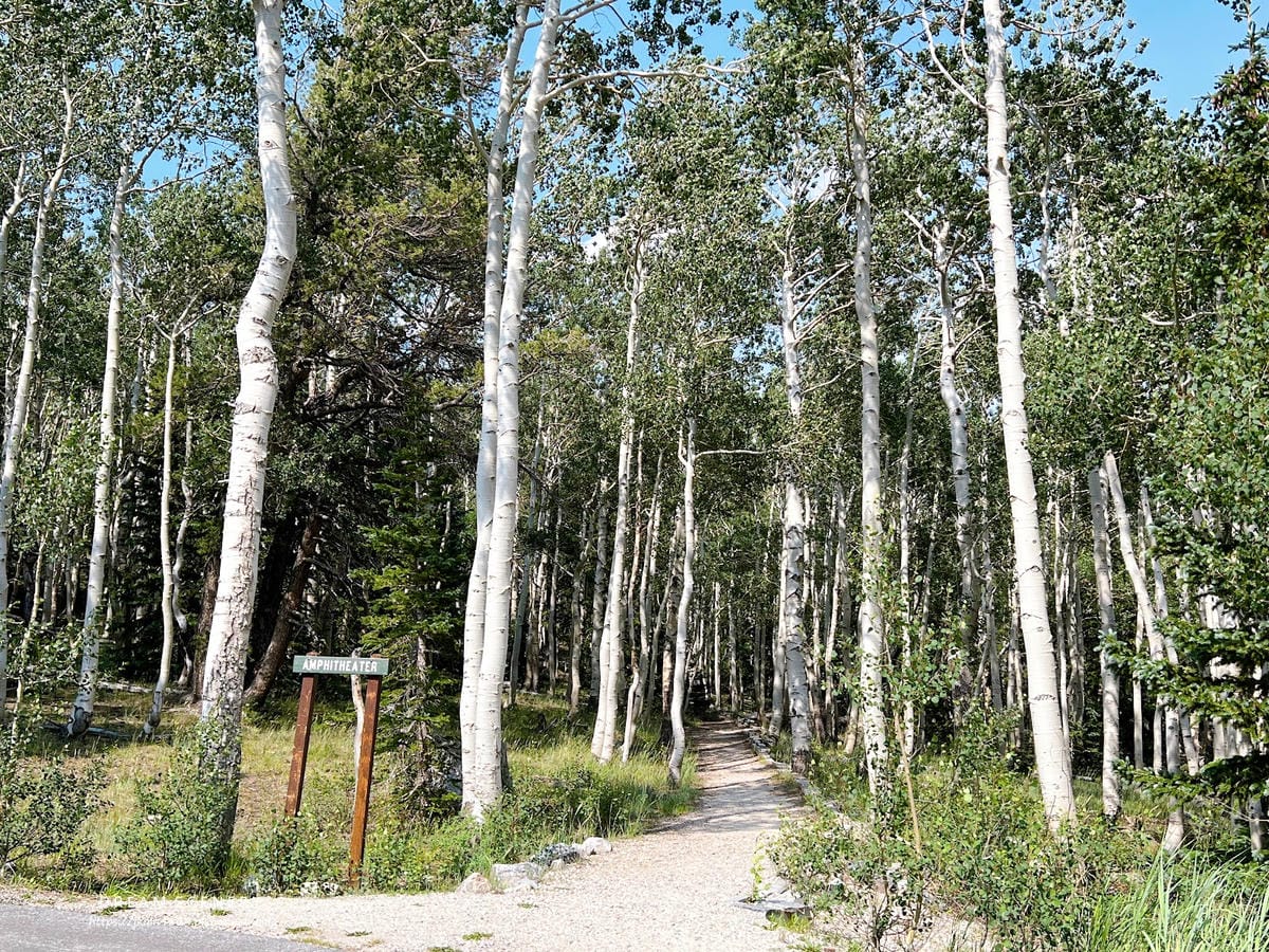 【美國-Nevada】 美國內華達州唯一的國家公園│大盆地國