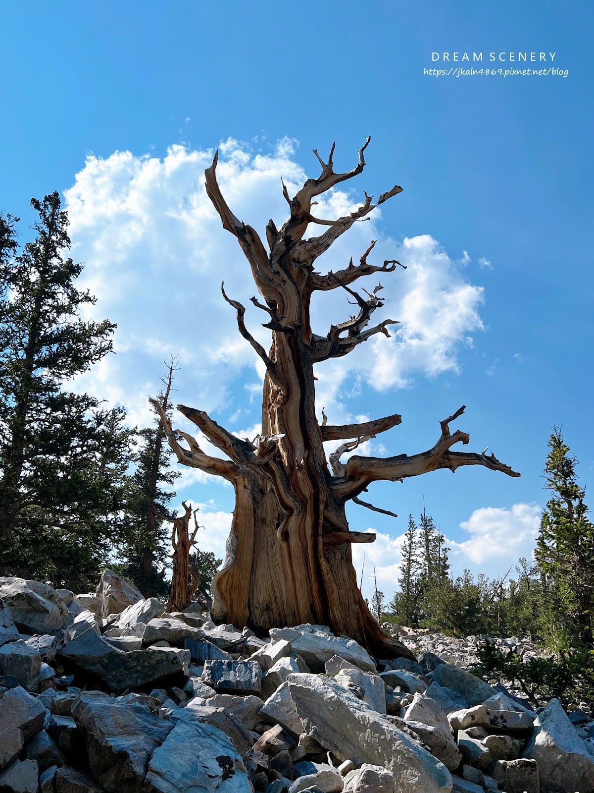 【美國-Nevada】 美國內華達州唯一的國家公園│大盆地國