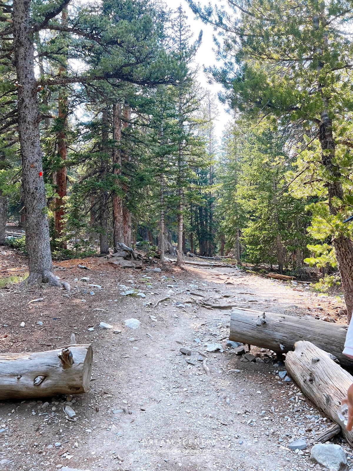【美國-Nevada】 美國內華達州唯一的國家公園│大盆地國
