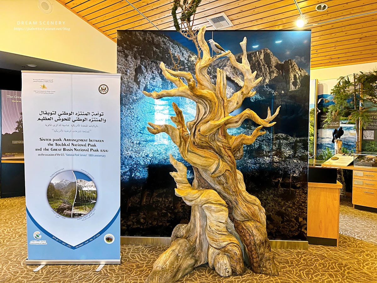 【美國-Nevada】 美國內華達州唯一的國家公園│大盆地國