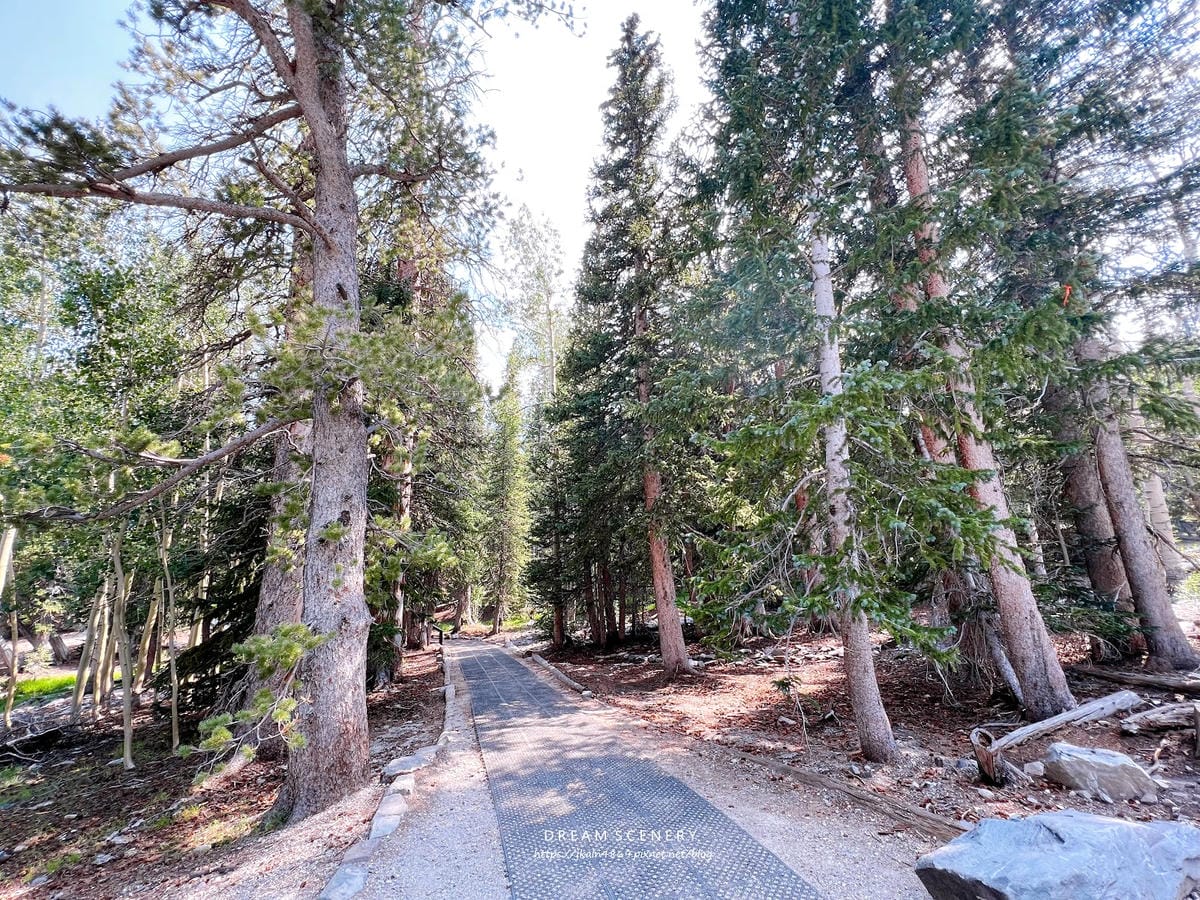 【美國-Nevada】 美國內華達州唯一的國家公園│大盆地國