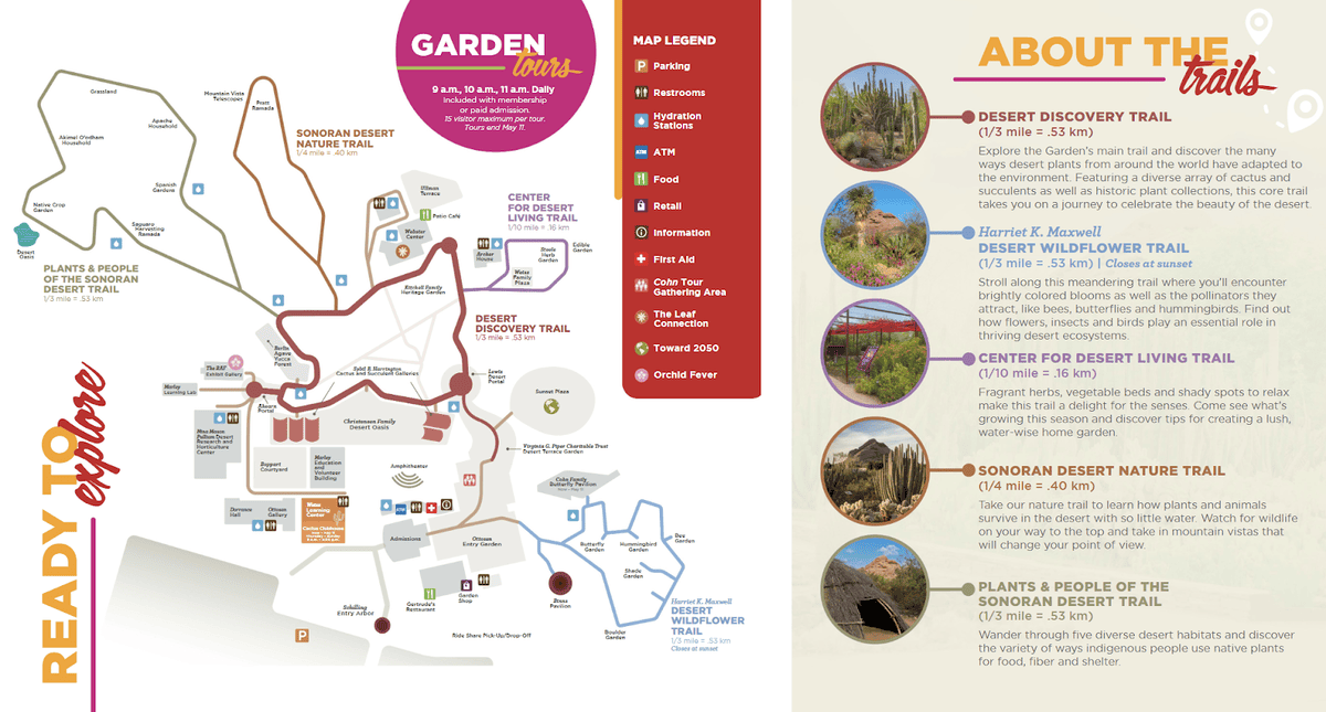 【美國-Arizona】亞利桑那州景點│沙漠植物園│Dese