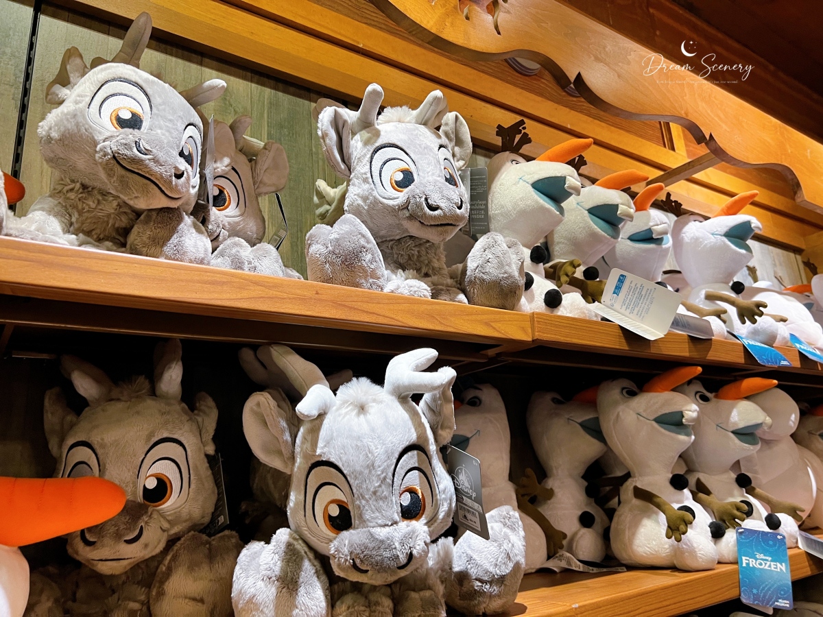 【美國 Florida】2024 EPCOT 設施-Frozen Ever After