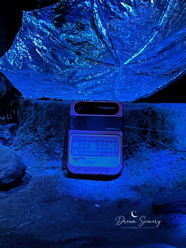 【美國 Florida】2024 奧蘭多環球影城開箱|兩天玩遍 Universal Studios Florida+Islands of Adventure心得分享 - 第48張圖 【美國 Florida】2024 奧蘭多環球影城開箱|兩天玩遍 Universal Studios Florida+Islands of Adventure心得分享
