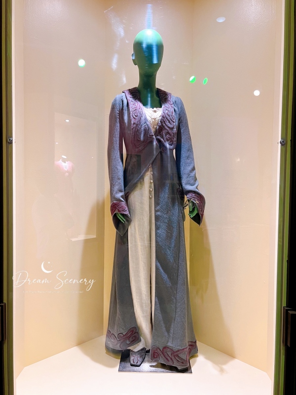 【美國 Florida】2024 Wicked: The Experience|走進《魔法壞女巫》的奧茲國 - 第6張圖 【美國 Florida】2024 Wicked: The Experience|走進《魔法壞女巫》的奧茲國