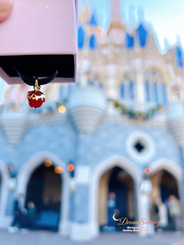 【美國 Florida】2024 Magic Kingdom 攻略|走進迪士尼最經典的夢想國度!Top10必玩設施、聖誕派對、公主見面會與必買周邊整理 - 第49張圖 【美國 Florida】2024 Magic Kingdom 攻略|走進迪士尼最經典的夢想國度!Top10必玩設施、聖誕派對、公主見面會與必買周邊整理