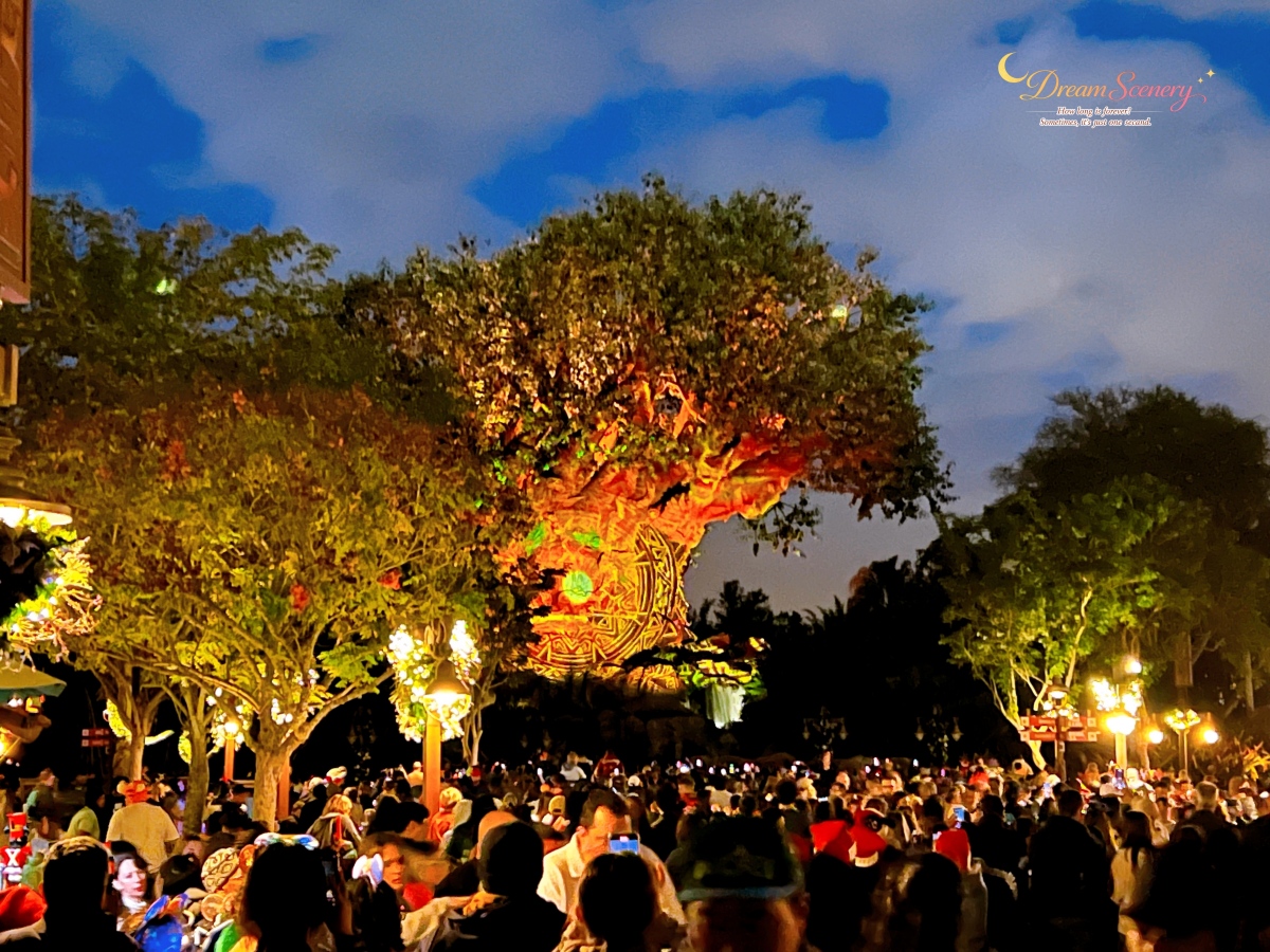 【美國 Florida】2024 Disney’s Animal Kingdom 攻略|一日路線+必玩設施 - 第91張圖 【美國 Florida】2024 Disney’s Animal Kingdom 攻略|一日路線+必玩設施