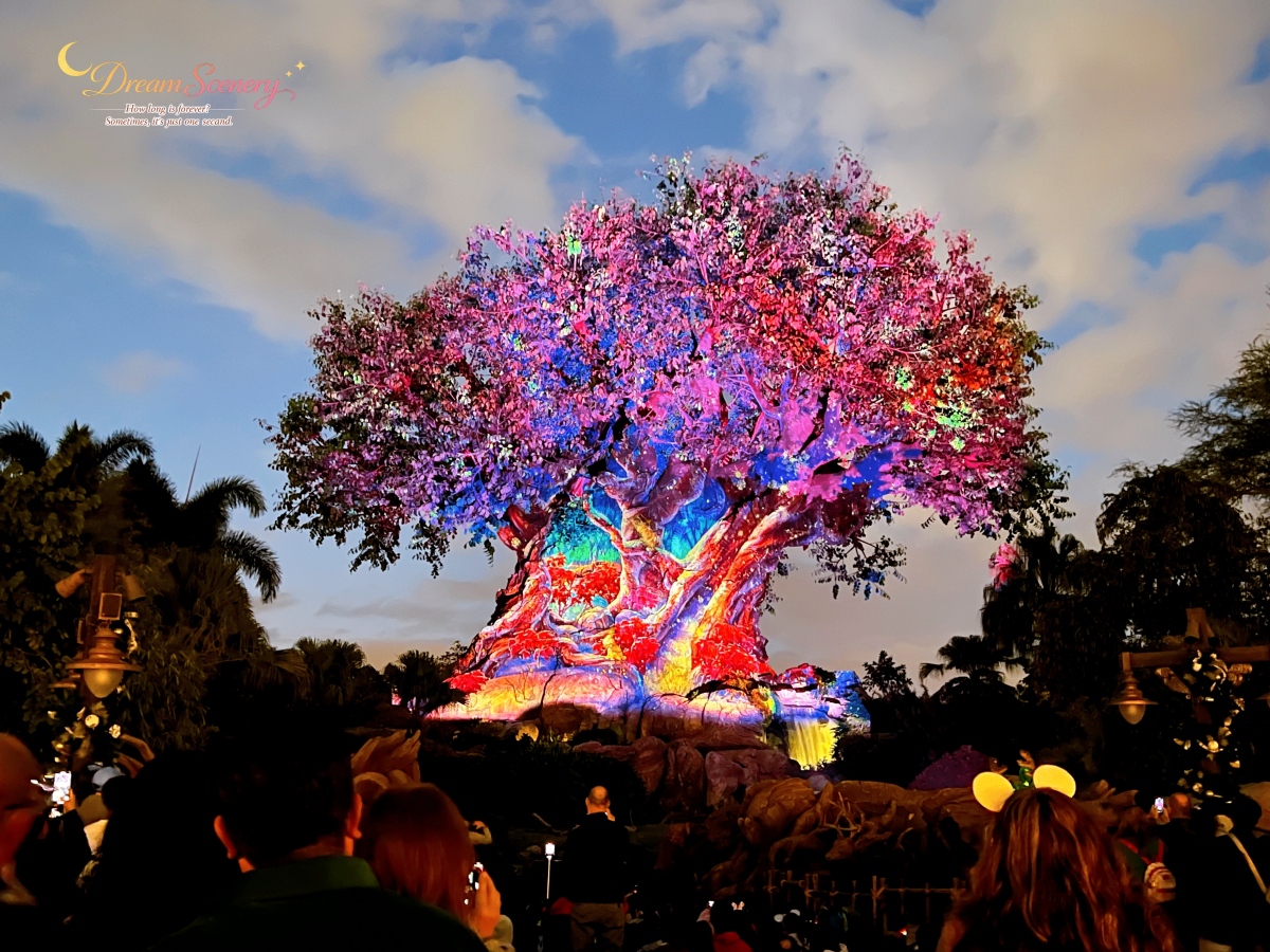 【美國 Florida】2024 Disney’s Animal Kingdom 攻略|一日路線+必玩設施 - 第95張圖 【美國 Florida】2024 Disney’s Animal Kingdom 攻略|一日路線+必玩設施