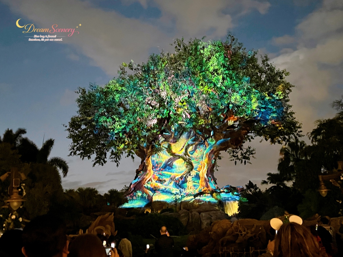 【美國 Florida】2024 Disney’s Animal Kingdom 攻略|一日路線+必玩設施 - 第97張圖 【美國 Florida】2024 Disney’s Animal Kingdom 攻略|一日路線+必玩設施