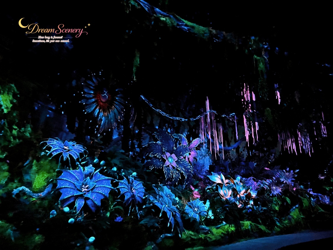【美國 Florida】2024 Disney’s Animal Kingdom 攻略|一日路線+必玩設施 - 第21張圖 【美國 Florida】2024 Disney’s Animal Kingdom 攻略|一日路線+必玩設施