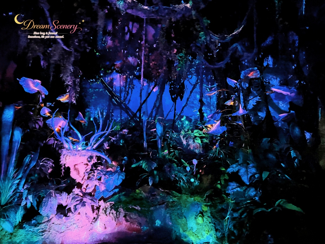 【美國 Florida】2024 Disney’s Animal Kingdom 攻略|一日路線+必玩設施 - 第22張圖 【美國 Florida】2024 Disney’s Animal Kingdom 攻略|一日路線+必玩設施