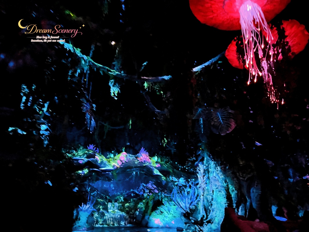 【美國 Florida】2024 Disney’s Animal Kingdom 攻略|一日路線+必玩設施 - 第23張圖 【美國 Florida】2024 Disney’s Animal Kingdom 攻略|一日路線+必玩設施