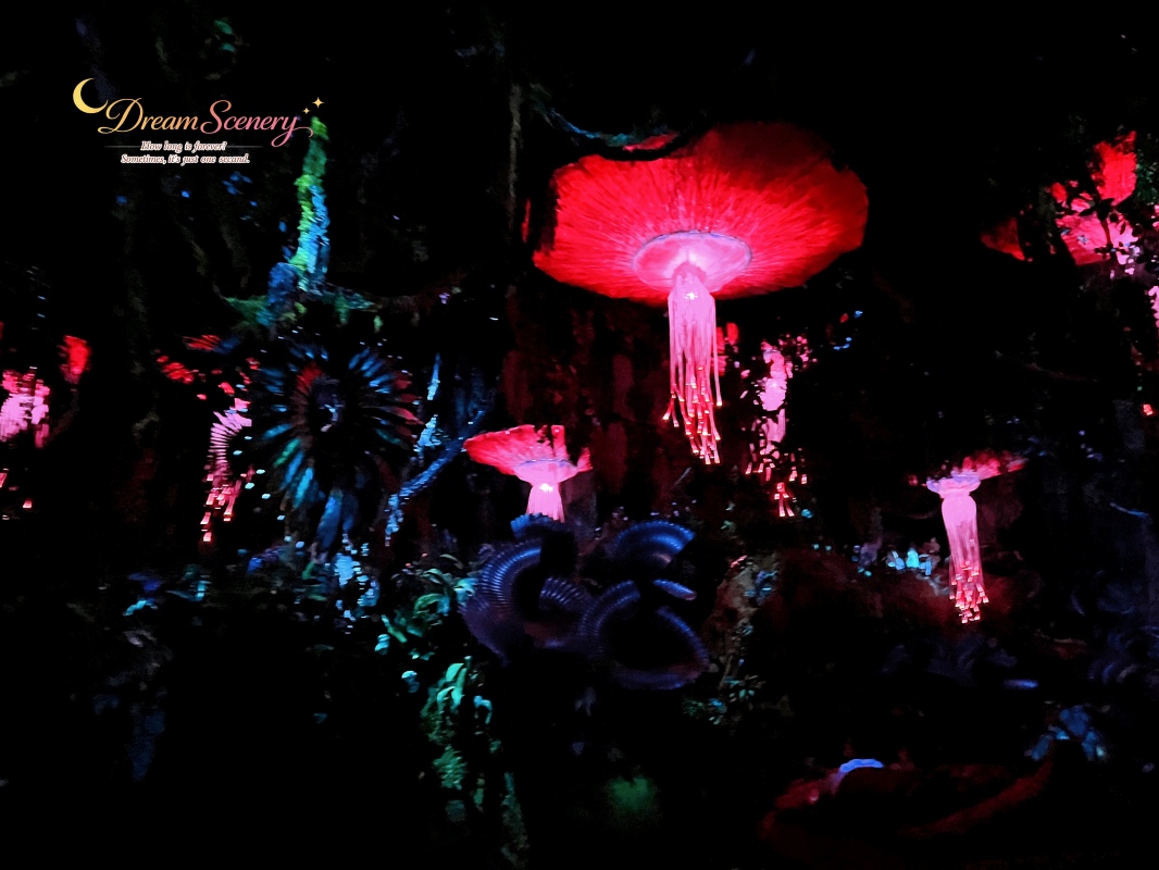 【美國 Florida】2024 Disney’s Animal Kingdom 攻略|一日路線+必玩設施 - 第24張圖 【美國 Florida】2024 Disney’s Animal Kingdom 攻略|一日路線+必玩設施